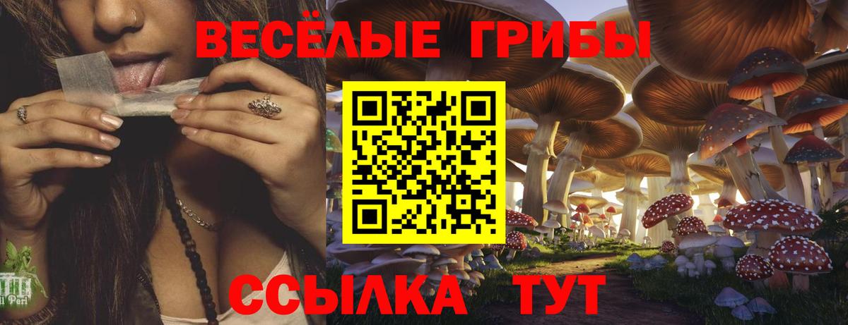 Галлюциногенные грибы Psilocybine cubensis Киреевск