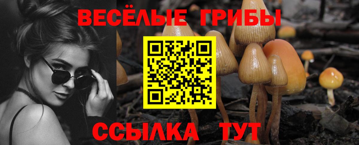 Псилоцибиновые грибы Cubensis  Псилоцибиновые грибы мухоморы  Киреевск  Вход с VPN 